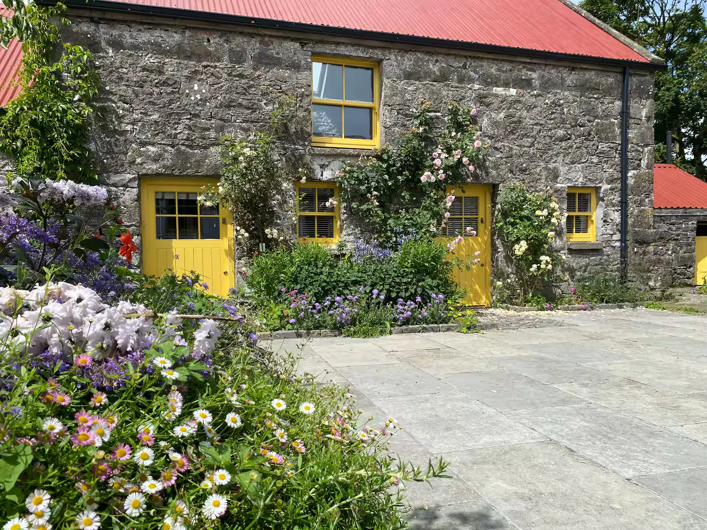 The Stables in full summer bloom: yellow doors and windows in stone walls, climbing roses, daisies and wildflowers
